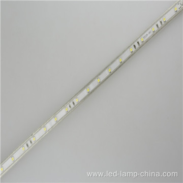 AC110V LED Tape light 100m Per Roll 5050 Led Strip 220v